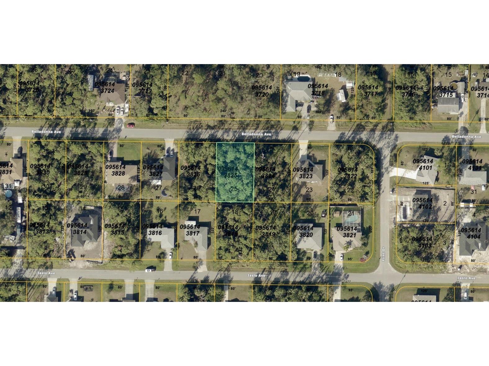 Belladonna Avenue North Port FL 34286 A4674629 image2