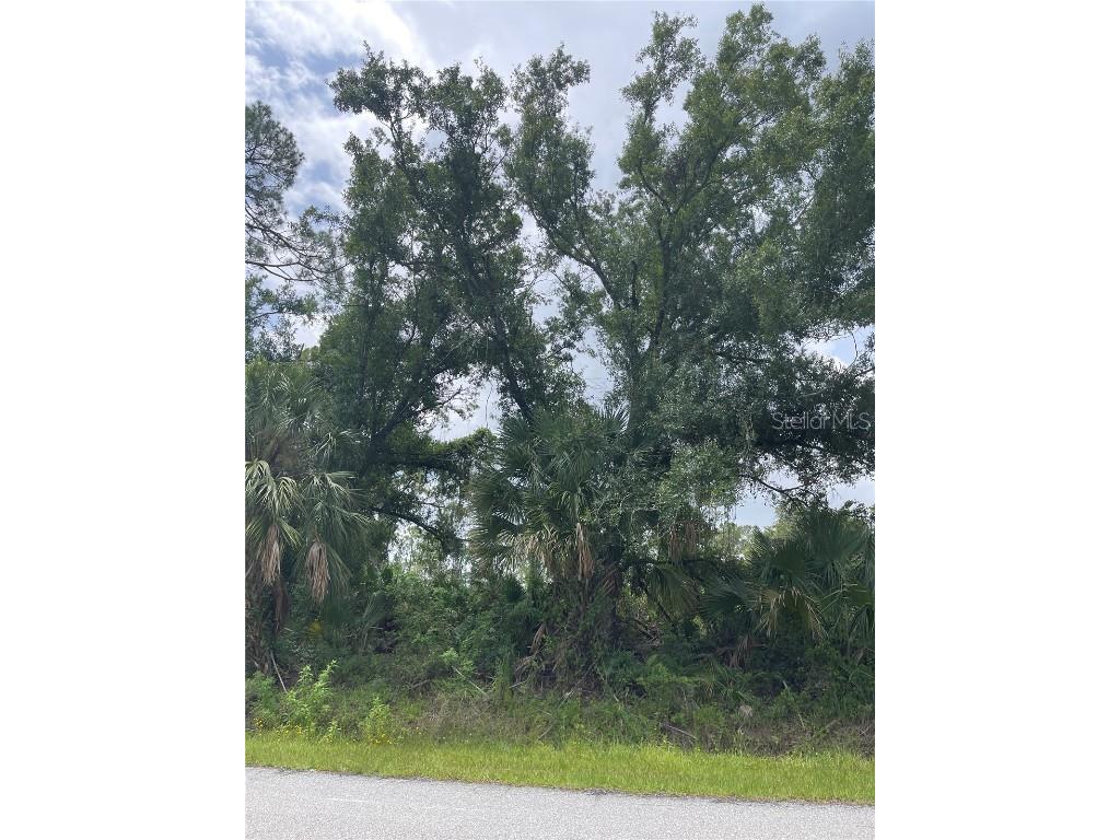 Bellafonte Avenue North Port FL 34286 C7511936 image4