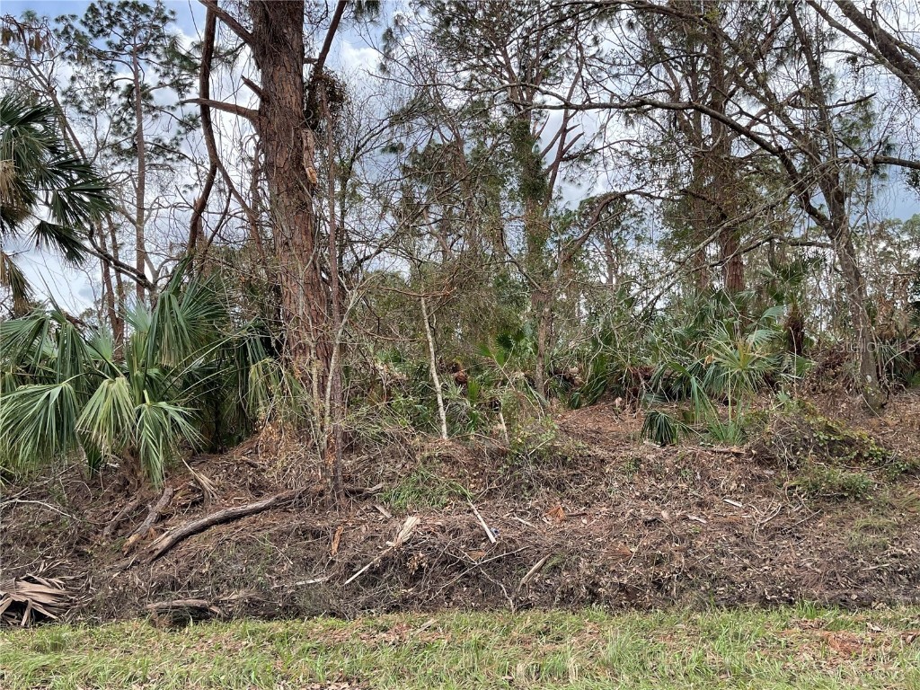 Bellefonte Avenue North Port FL 34286 C7468411 image1