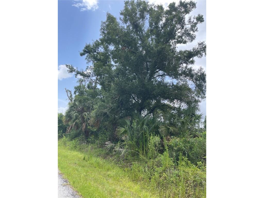 Bellefonte North Port FL 34286 C7511943 image3