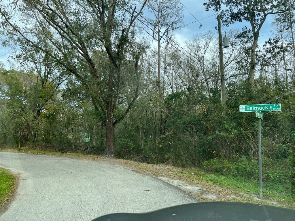 Belmack Odessa FL 33556 T3424417 image1