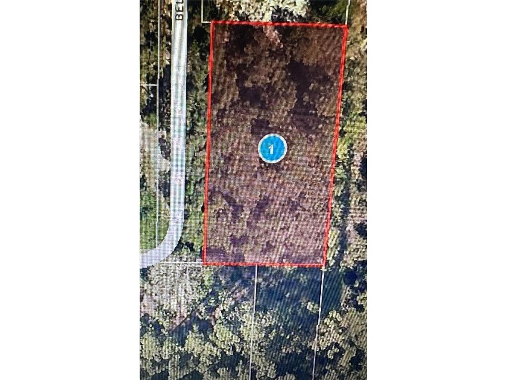 Belmont Avenue Leesburg FL 34788 G5071887 image1