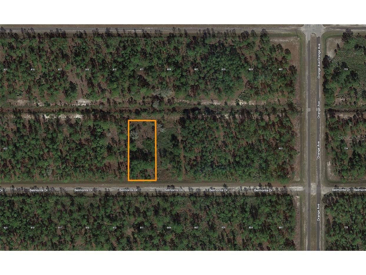 Belmonte Drive Indian Lake Estates FL 33855 - LAKE WALK IN WATER T3385958 image1