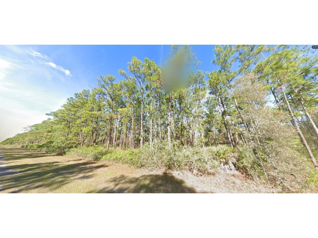 Belmonte Drive Indian Lake Estates FL 33855 O6272884 image2