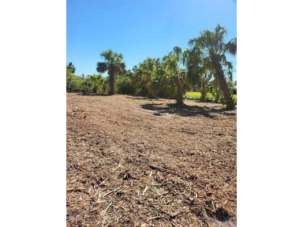 Bendix Terrace North Port FL 34286 N6137152 image2