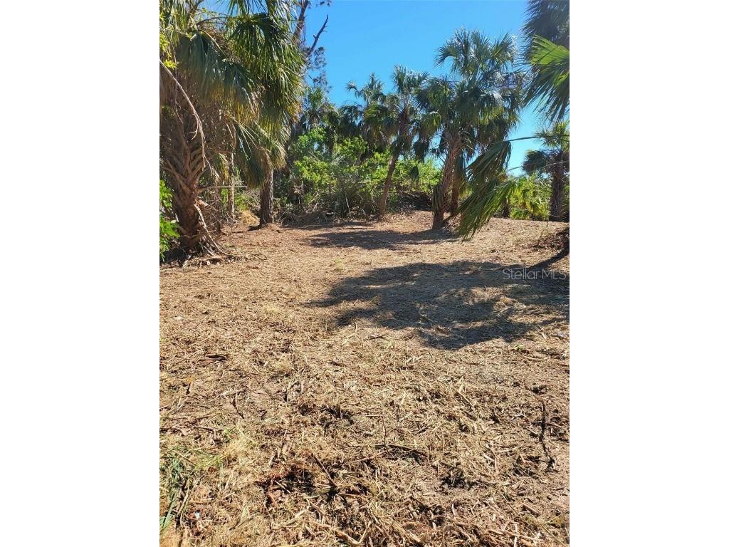 Bendix Terrace North Port FL 34286 N6137152 image5