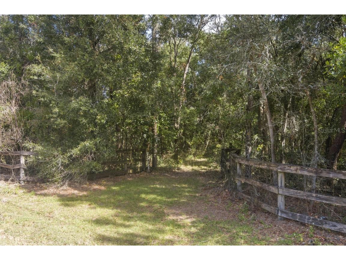 Benes Road Brooksville FL 34604 TB8316563 image1