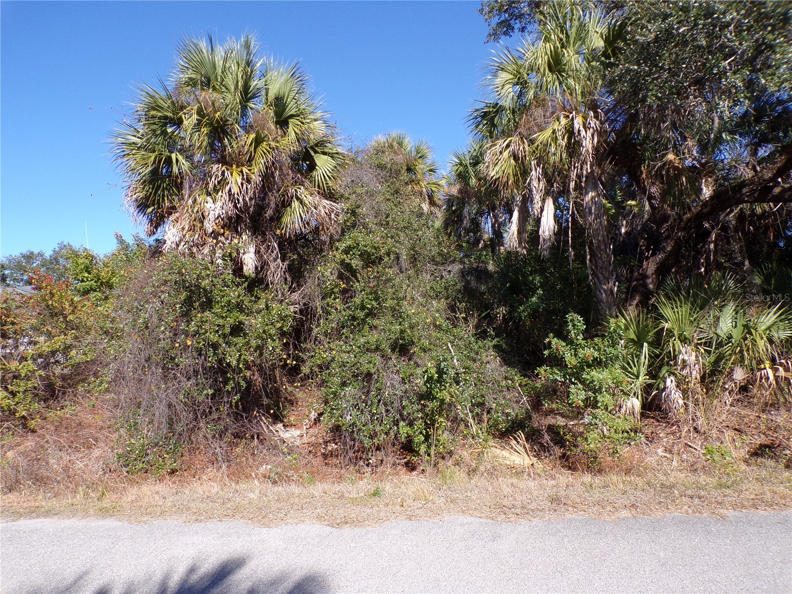 Bennett Lane North Port FL 34288 C7521975 image1
