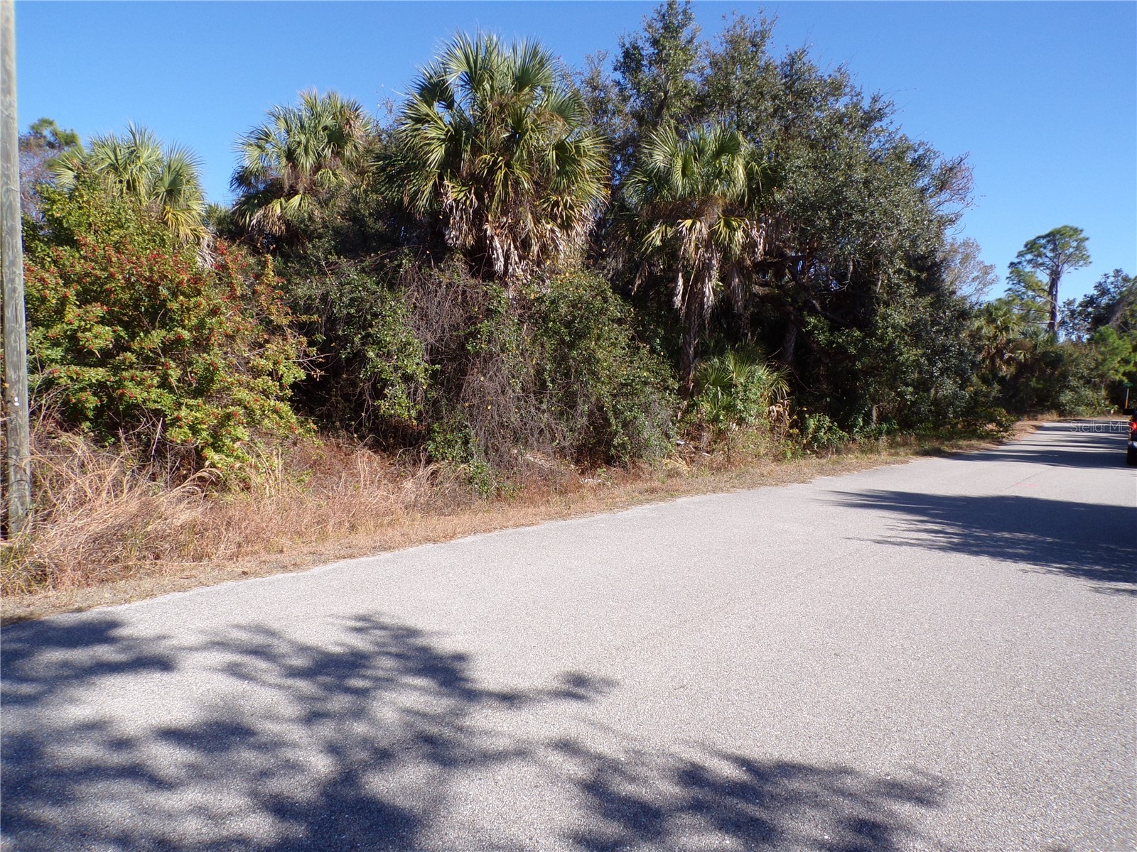 Bennett Lane North Port FL 34288 C7521975 image3
