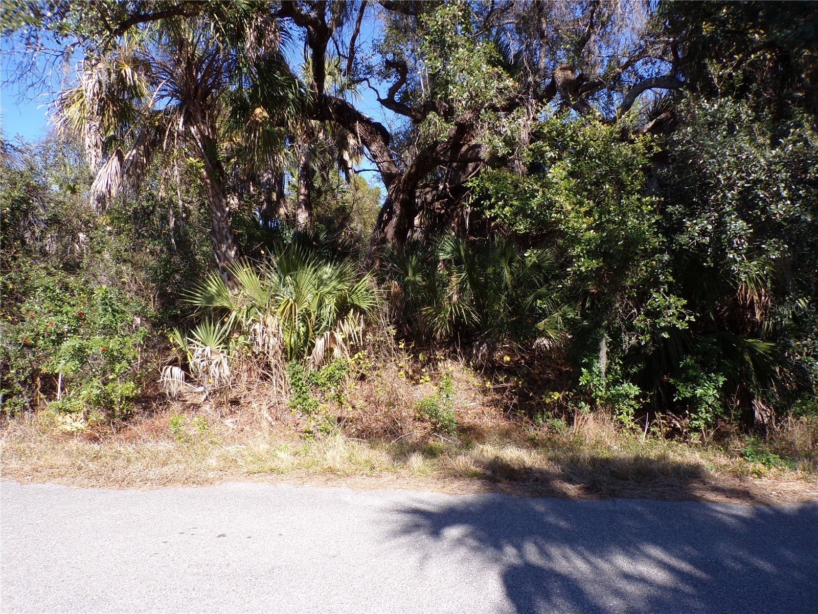 Bennett Lane North Port FL 34288 C7521975 image5