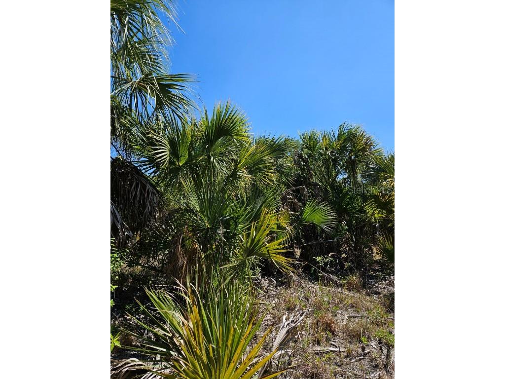 Bennington Street North Port FL 34288 A4607409 image1