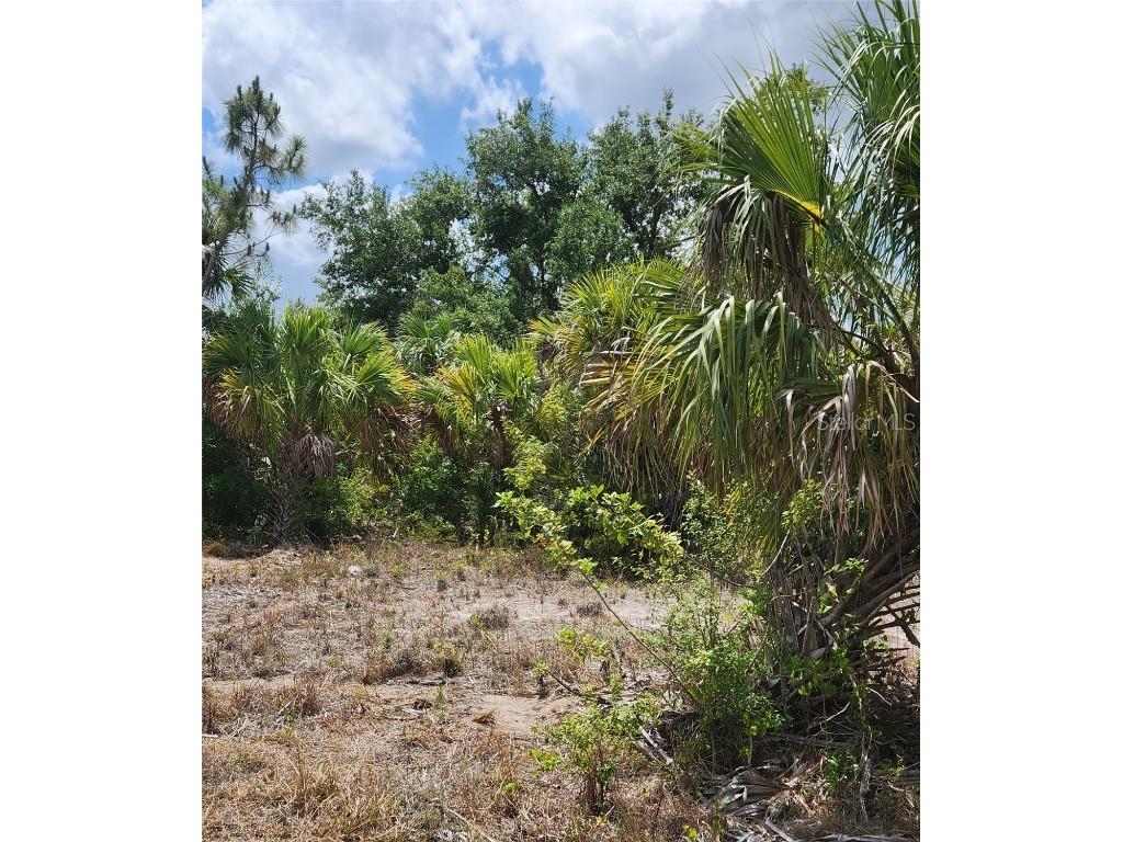 Bennington Street North Port FL 34288 C7500517 image2