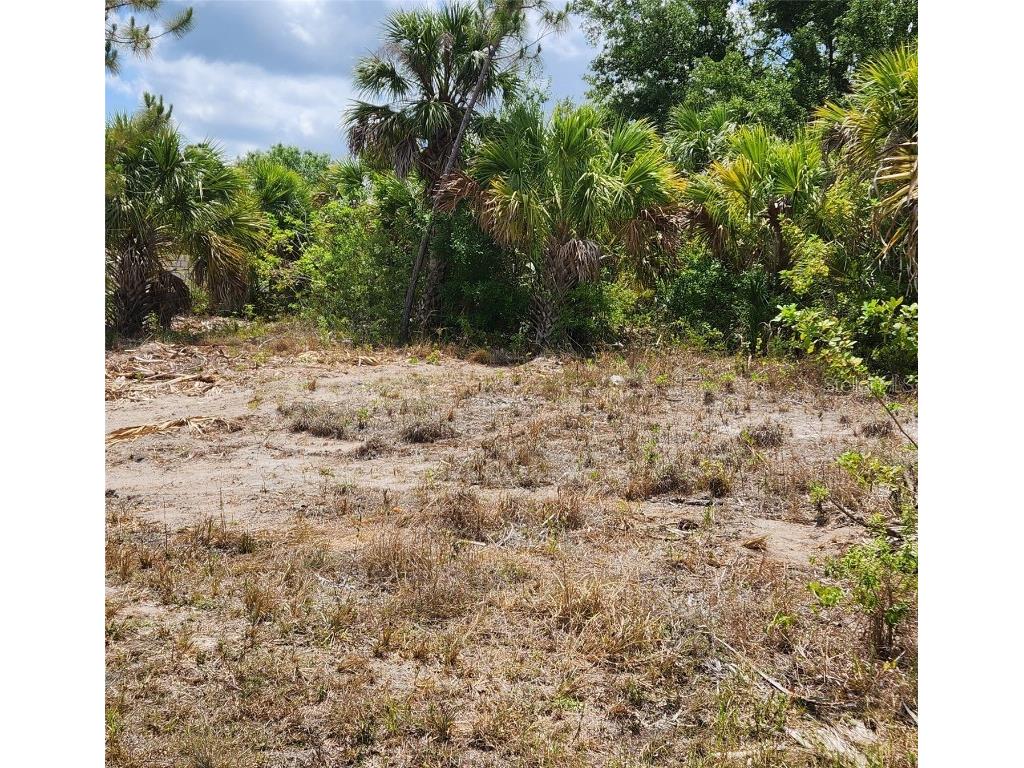 Bennington Street North Port FL 34288 C7500517 image3