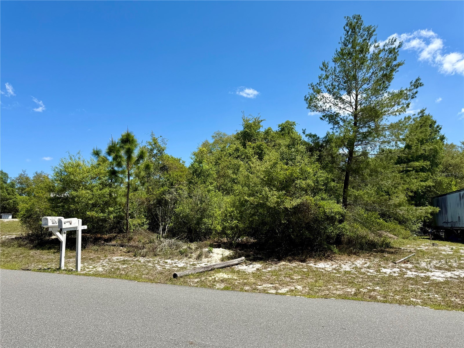 Benton Drive Eustis FL 32736 O6398749 image2