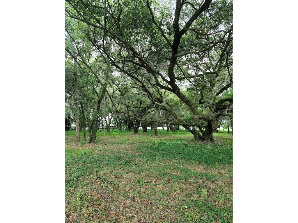 Berkley Road Auburndale FL 33823 P4922735 image1