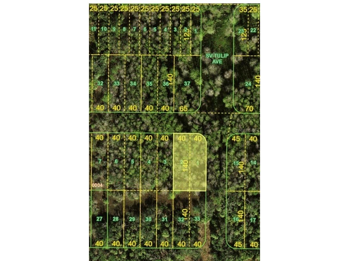Bermont Rd & 31 Punta Gorda FL 33982 TB8463052 image5