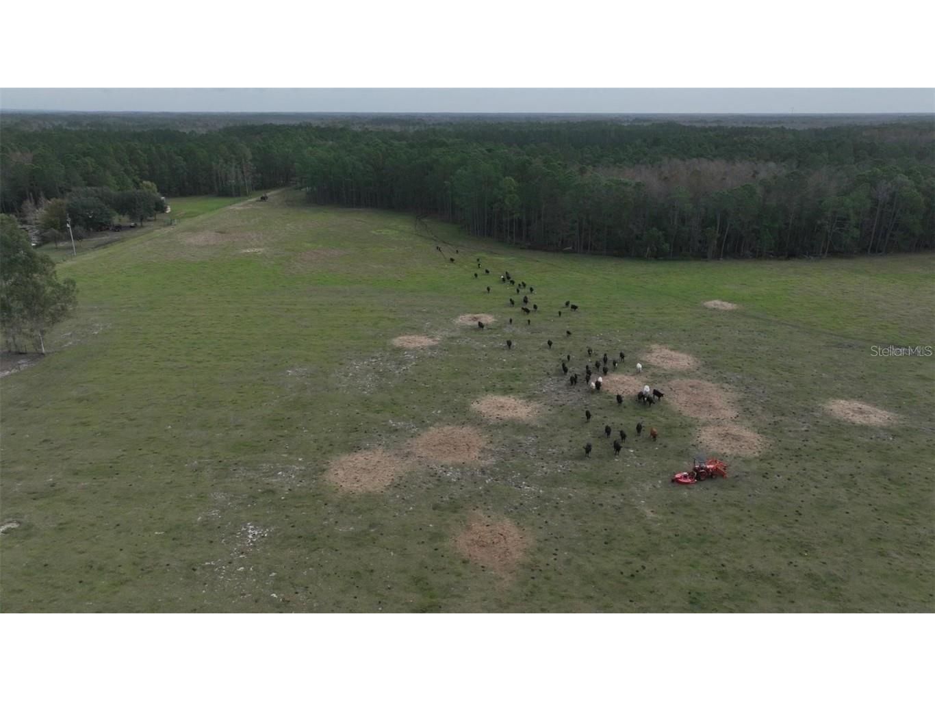 Berry Groves Rd Drive Clermont FL 34714 L4949248 image1