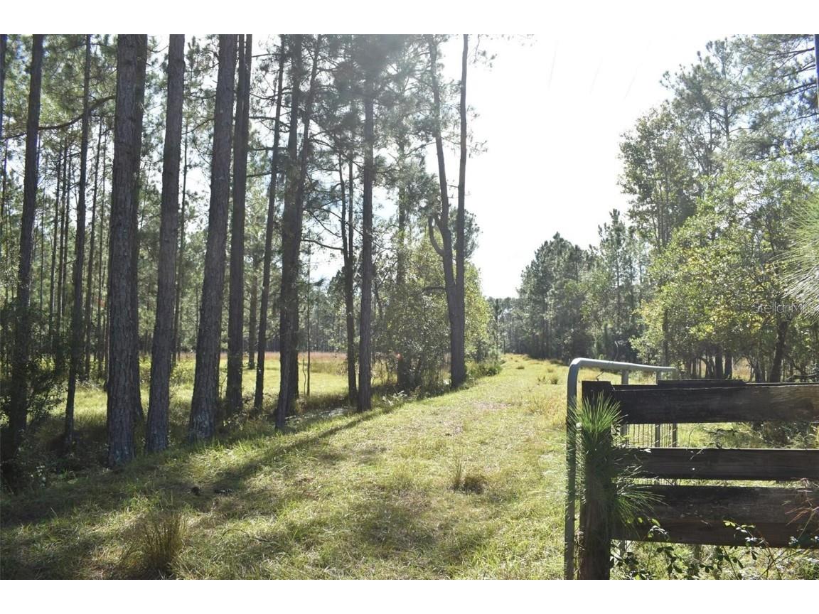 Berry Groves Rd Drive Clermont FL 34714 L4949248 image10