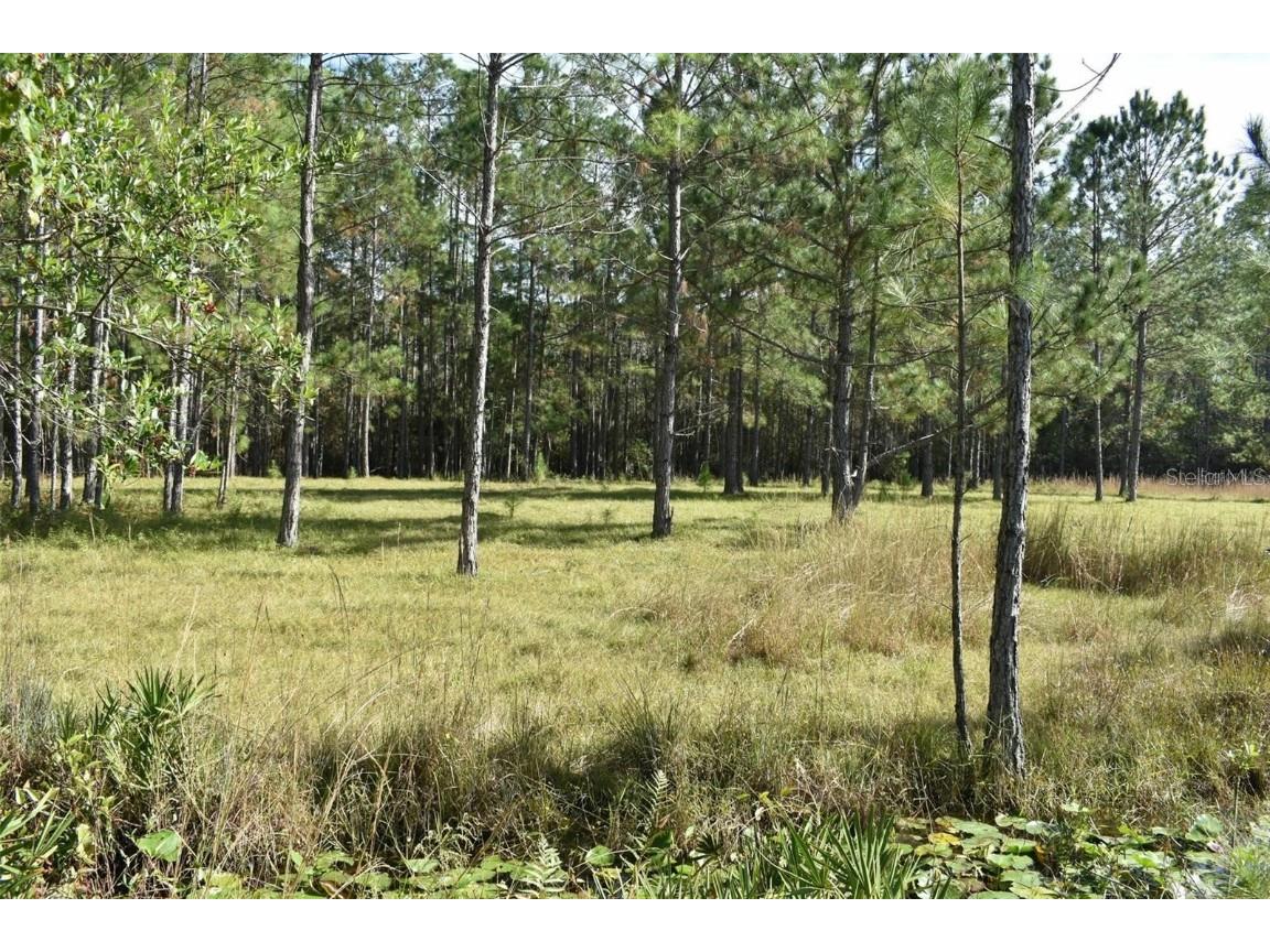 Berry Groves Rd Drive Clermont FL 34714 L4949248 image11