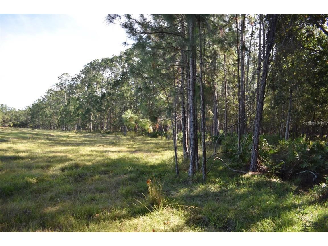 Berry Groves Rd Drive Clermont FL 34714 L4949248 image12