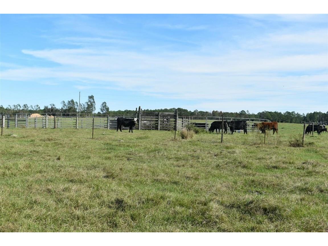 Berry Groves Rd Drive Clermont FL 34714 L4949248 image14