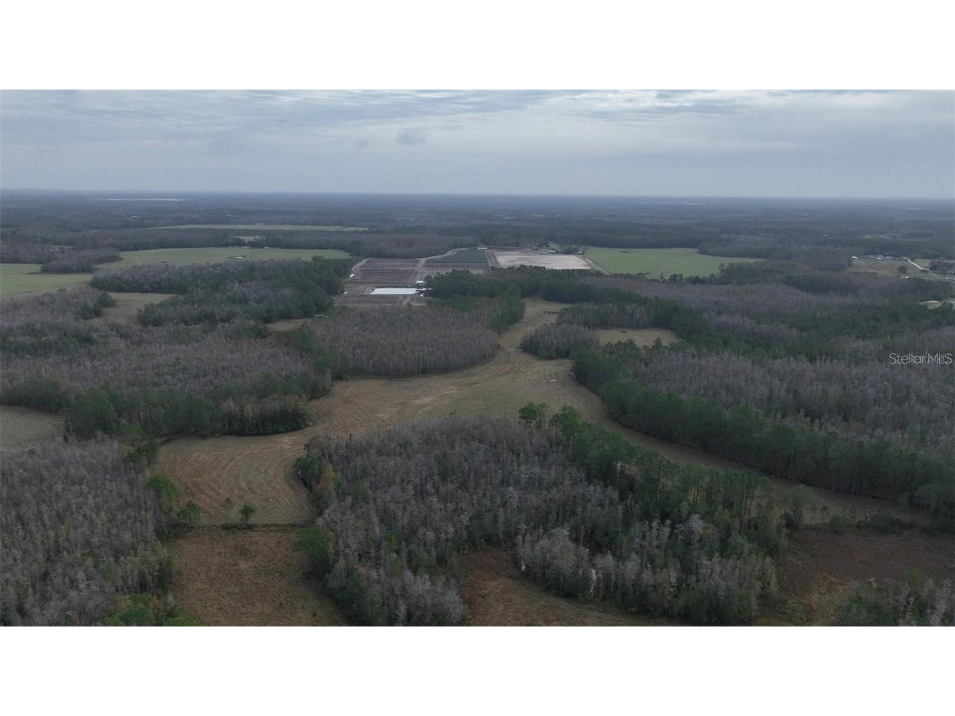 Berry Groves Rd Drive Clermont FL 34714 L4949248 image15