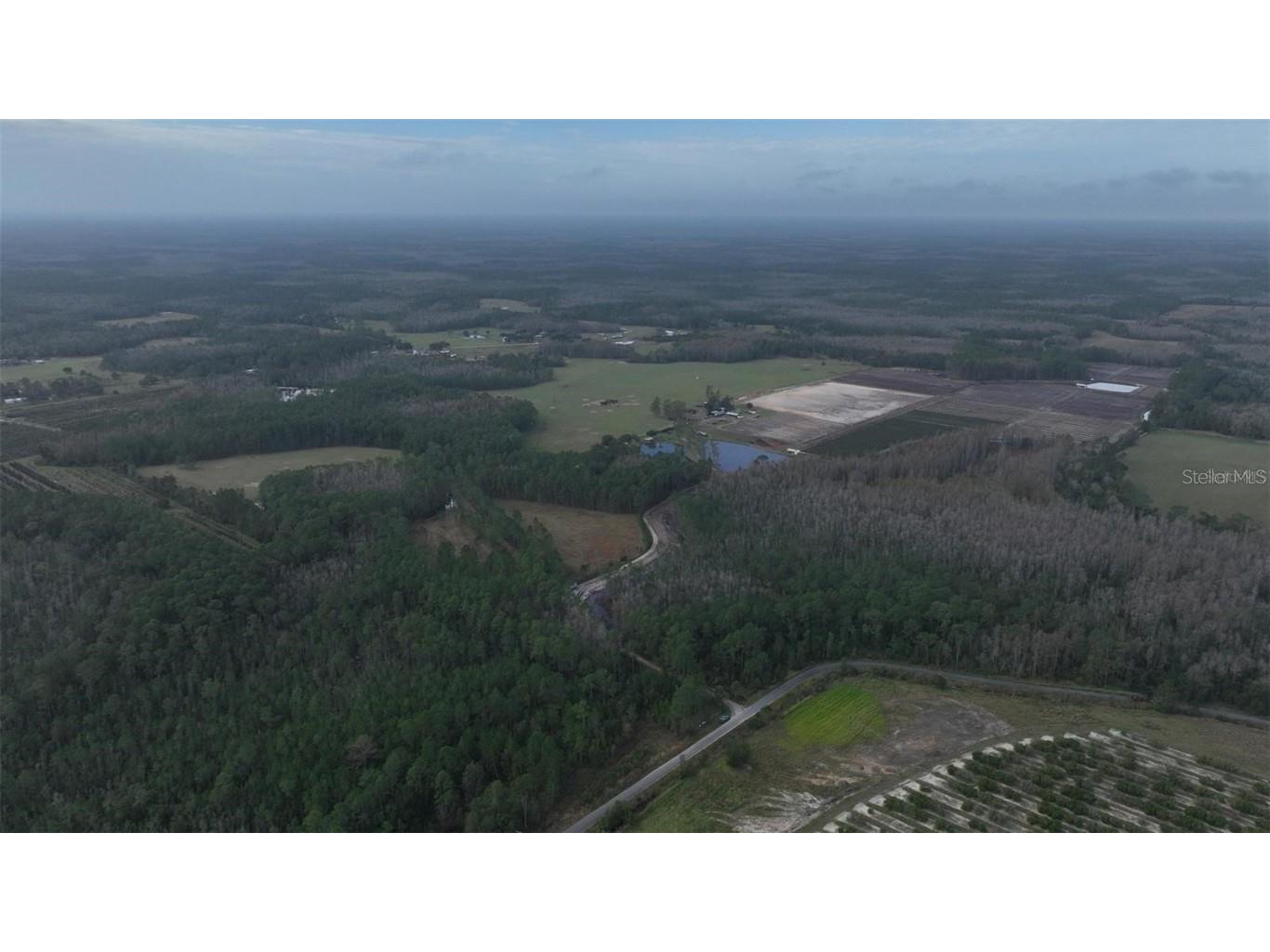 Berry Groves Rd Drive Clermont FL 34714 L4949248 image3