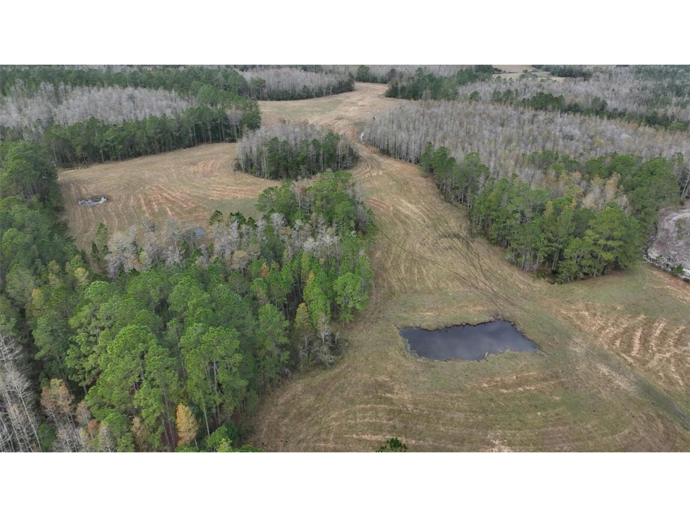 Berry Groves Rd Drive Clermont FL 34714 L4949248 image4