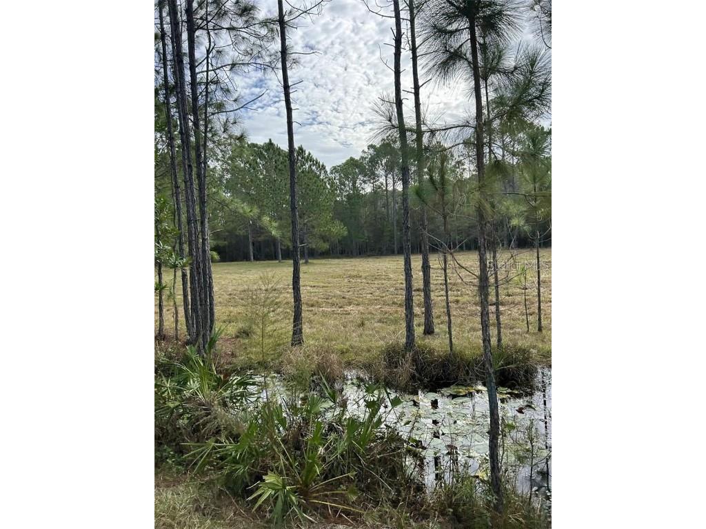 Berry Groves Rd Drive Clermont FL 34714 L4949248 image5