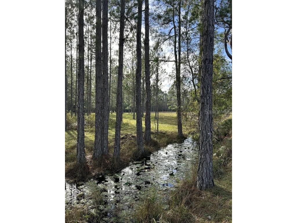 Berry Groves Rd Drive Clermont FL 34714 L4949248 image6