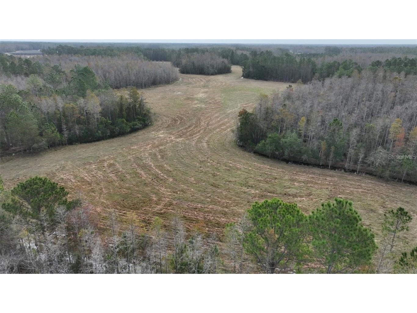 Berry Groves Rd Drive Clermont FL 34714 L4949248 image7