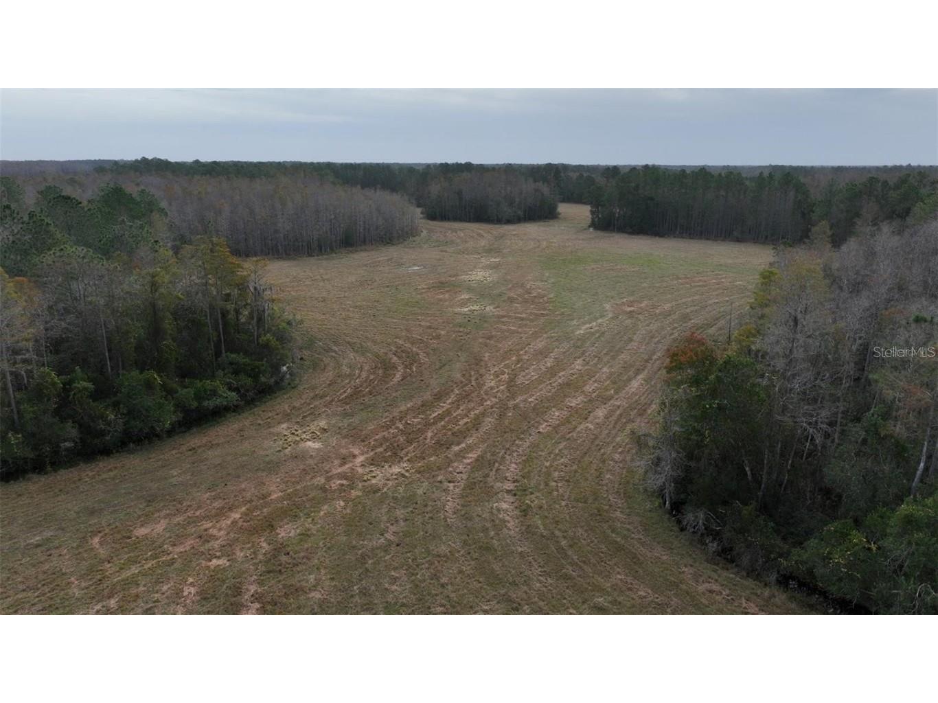 Berry Groves Rd Drive Clermont FL 34714 L4949248 image8