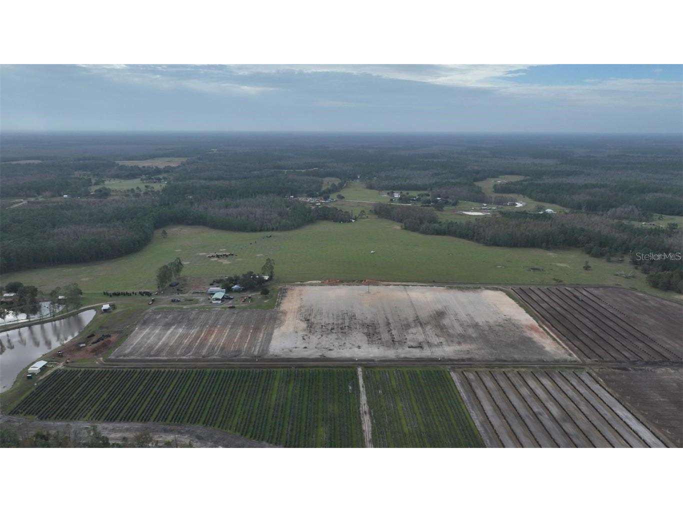 Berry Groves Rd Drive Clermont FL 34714 L4949248 image9