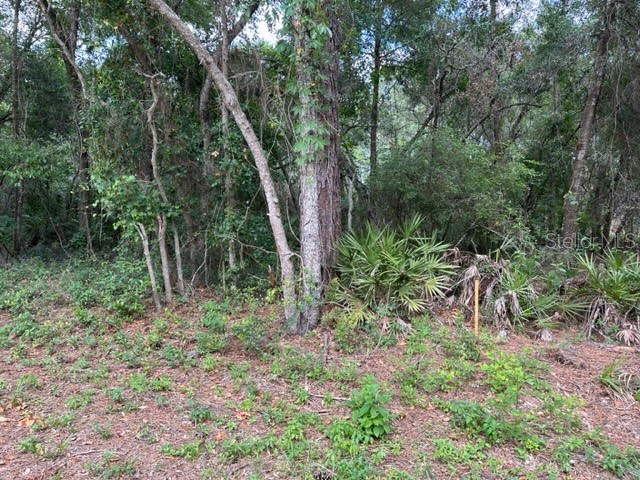 Berryhill Drive Webster FL 33597 - Long Lake G5068991 image1