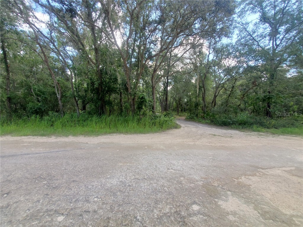 Berryhill Drive Webster FL 33597 - COUNTY DRAINAGE CANAL T3463812 image1
