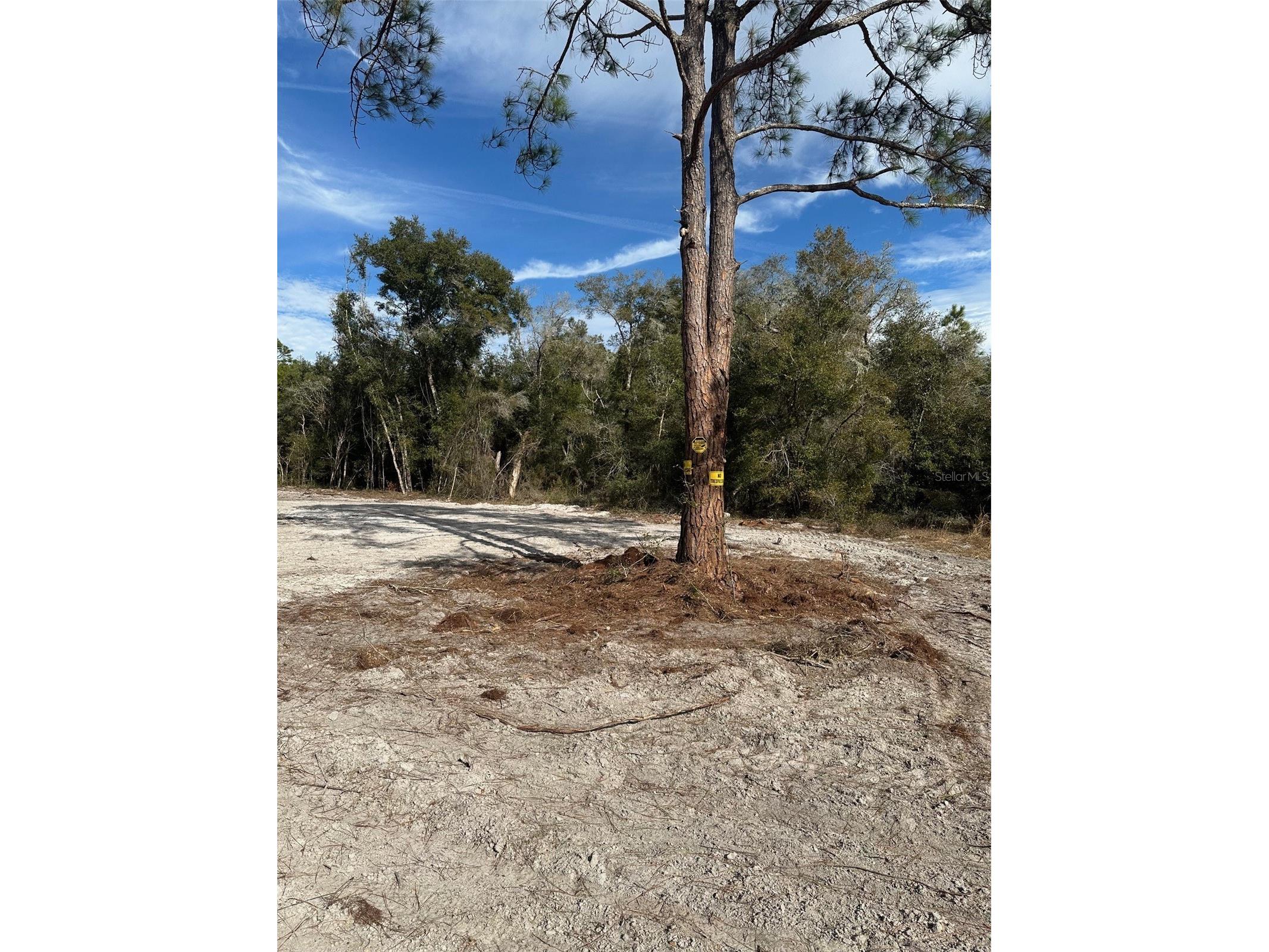 Berryhill Drive Webster FL 33597 TB8503043 image2