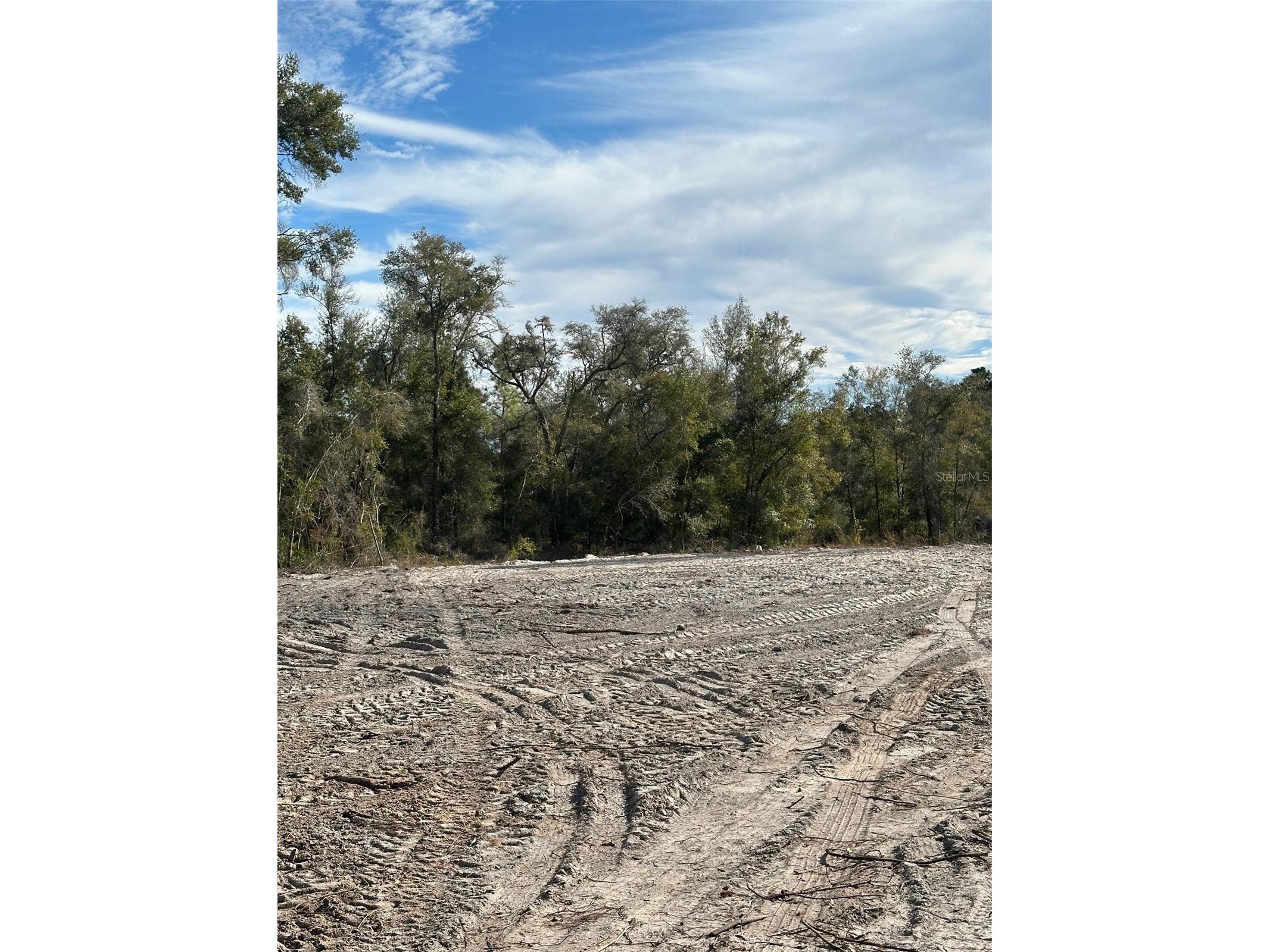 Berryhill Drive Webster FL 33597 TB8503043 image3