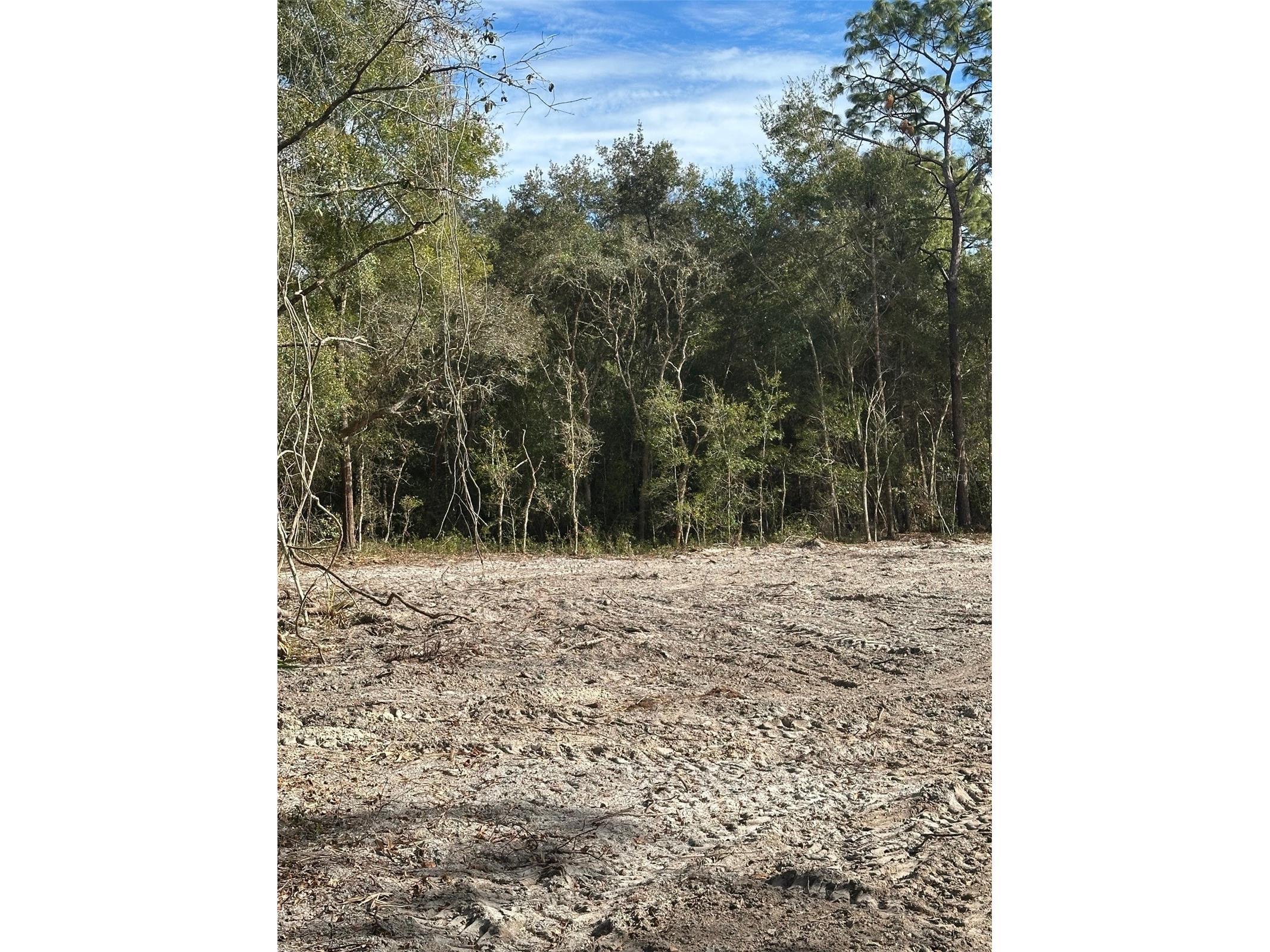 Berryhill Drive Webster FL 33597 TB8503043 image4