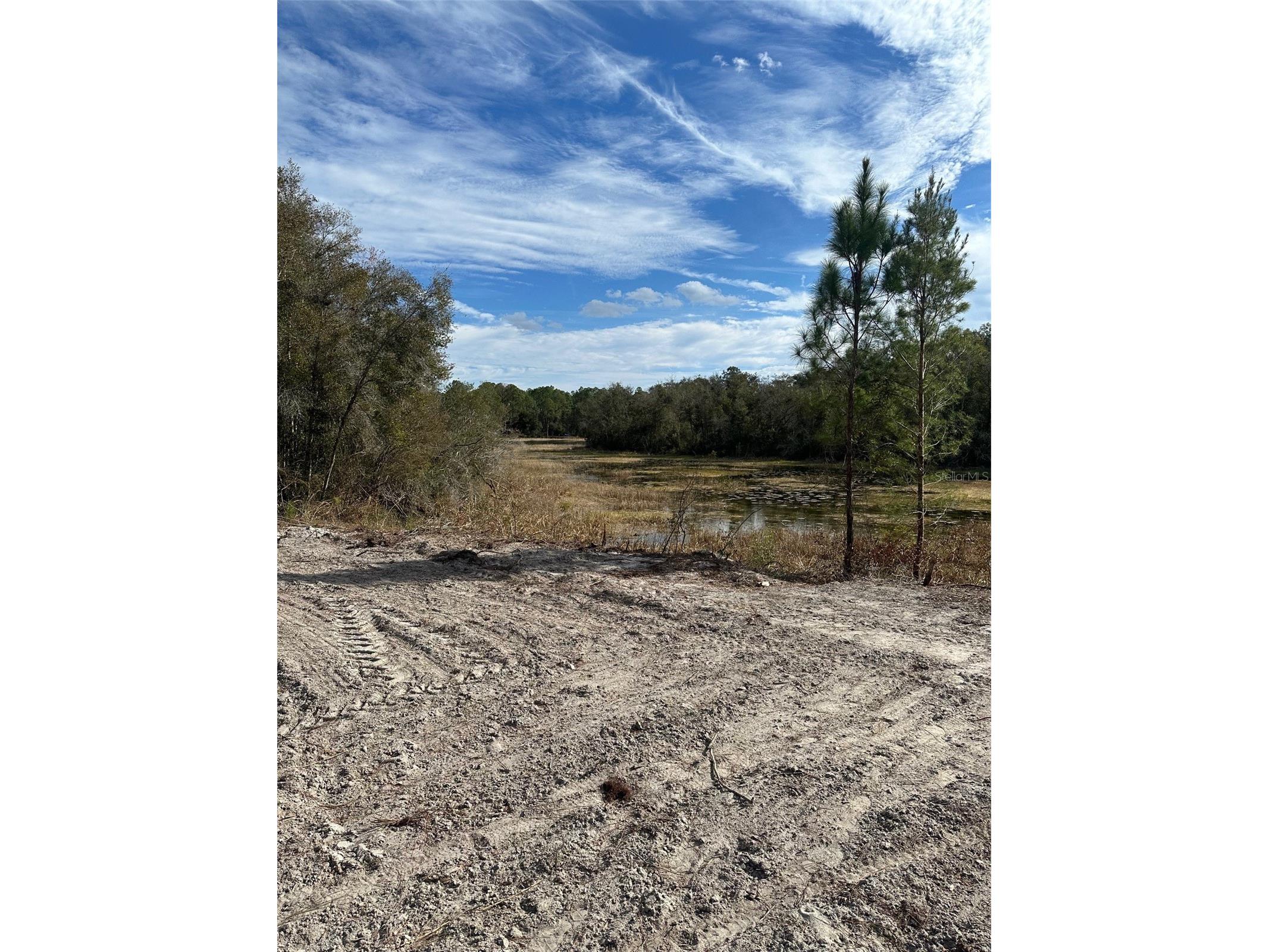 Berryhill Drive Webster FL 33597 TB8503062 image1