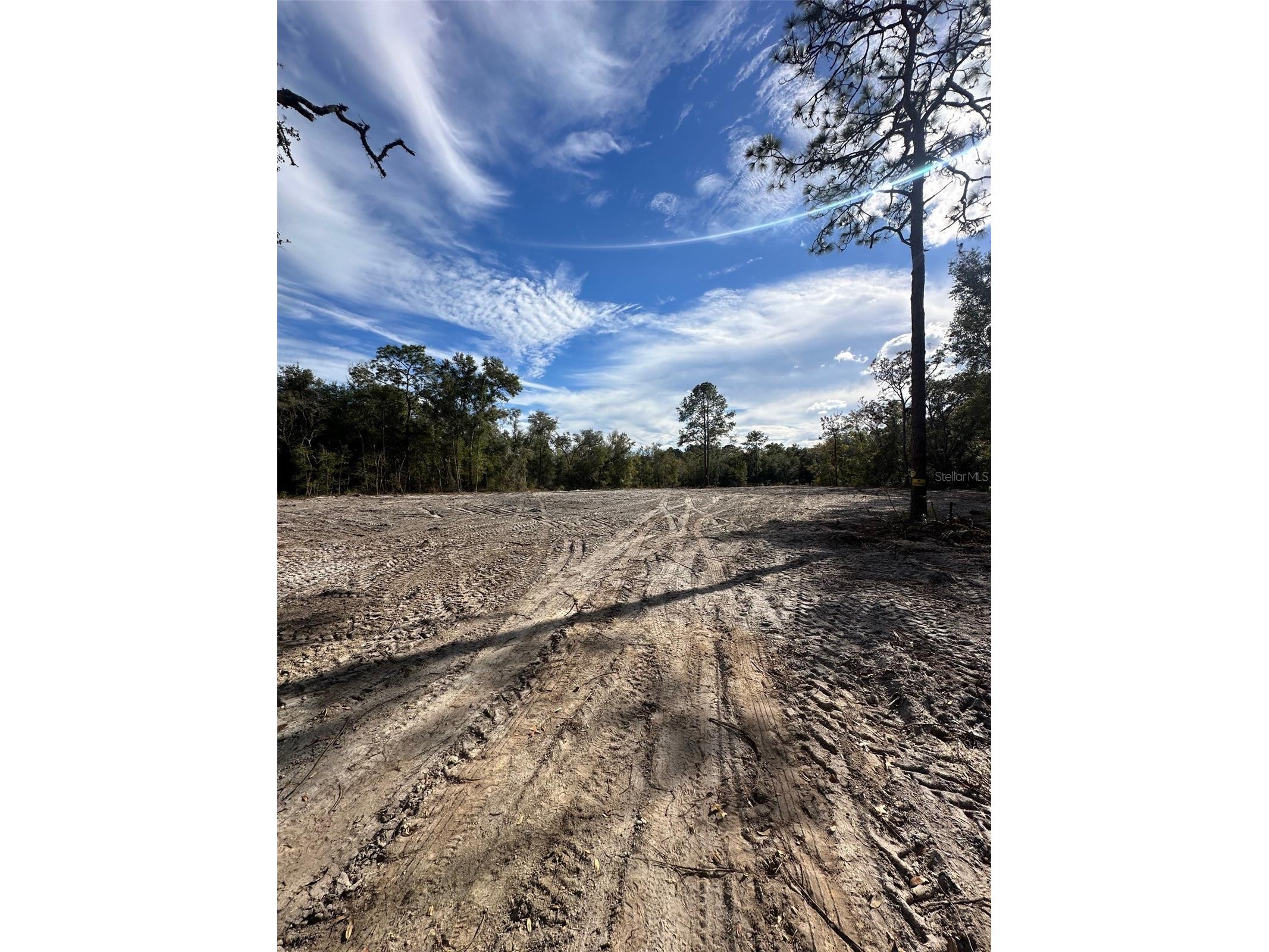 Berryhill Drive Webster FL 33597 TB8503062 image5