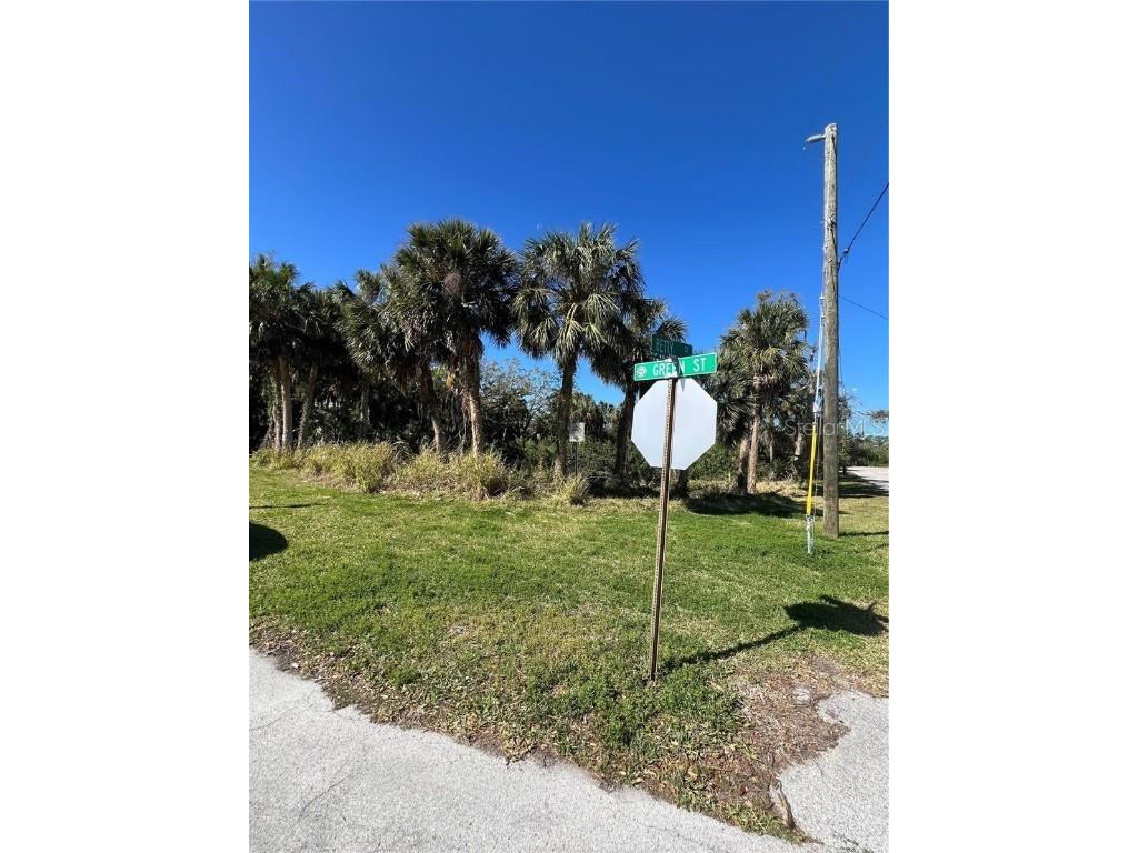 Betty Street Port Richey FL 34668 TB8447777 image10