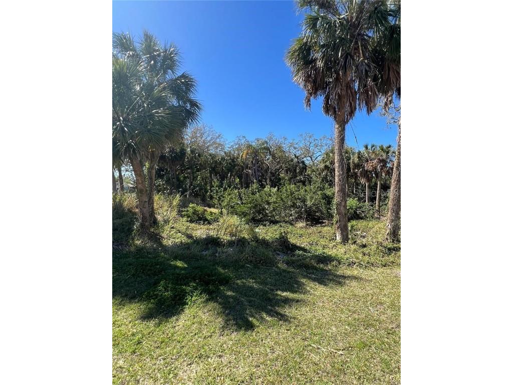 Betty Street Port Richey FL 34668 TB8447777 image12