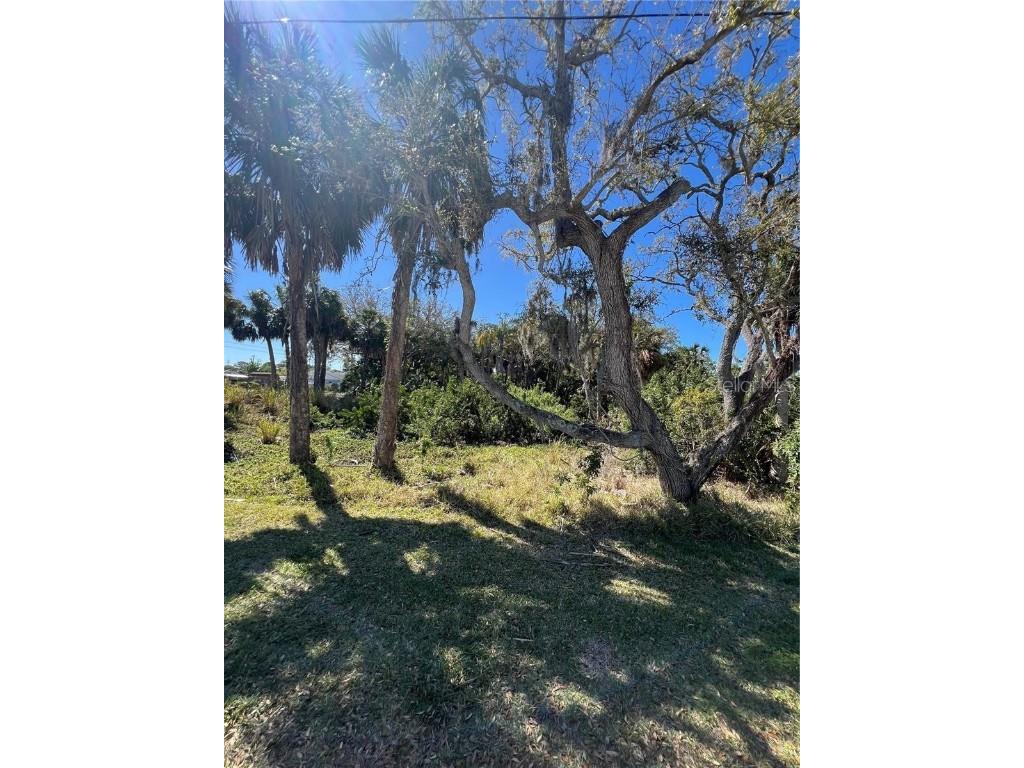 Betty Street Port Richey FL 34668 TB8447777 image2