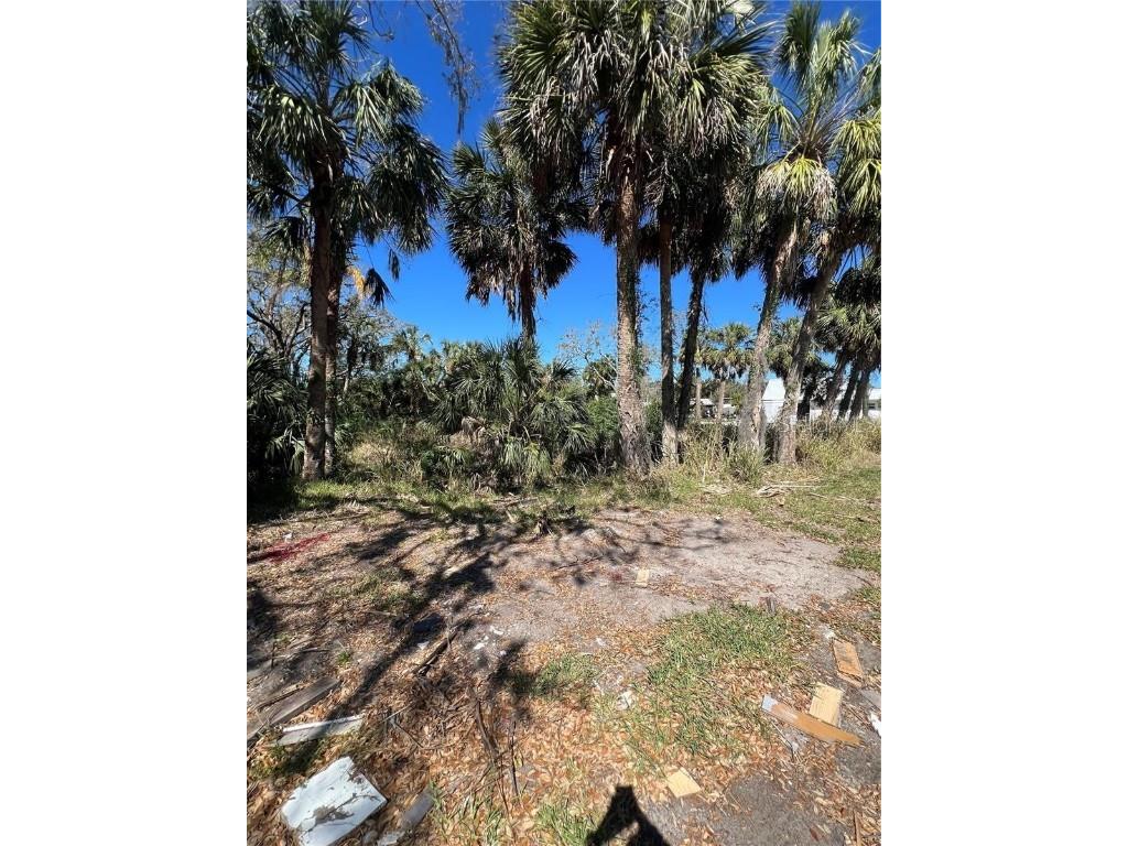 Betty Street Port Richey FL 34668 TB8447777 image3