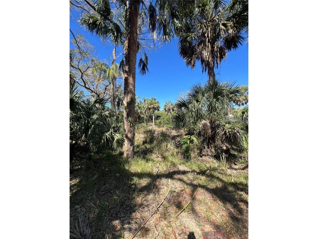 Betty Street Port Richey FL 34668 TB8447777 image4