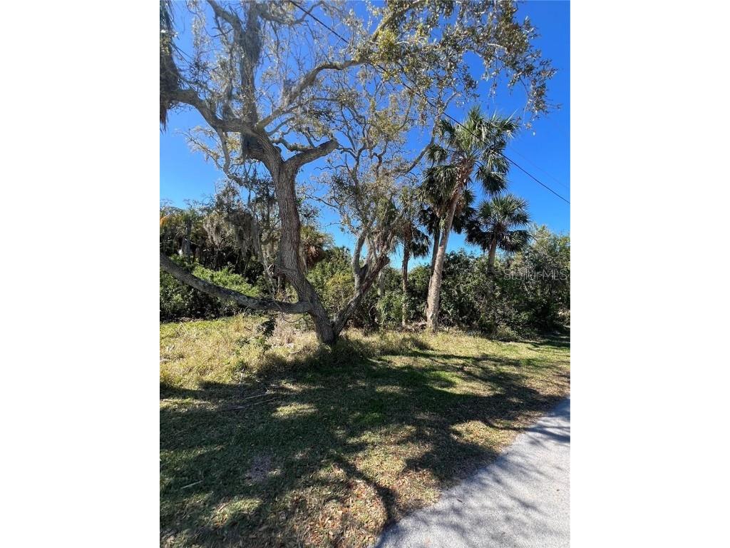 Betty Street Port Richey FL 34668 TB8447777 image6