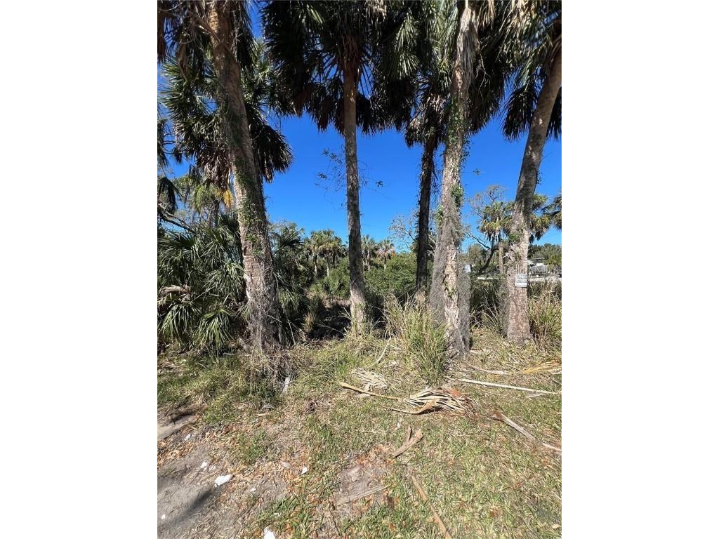 Betty Street Port Richey FL 34668 TB8447777 image7