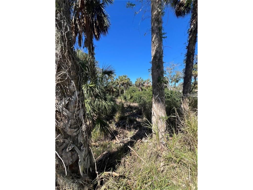 Betty Street Port Richey FL 34668 TB8447777 image8