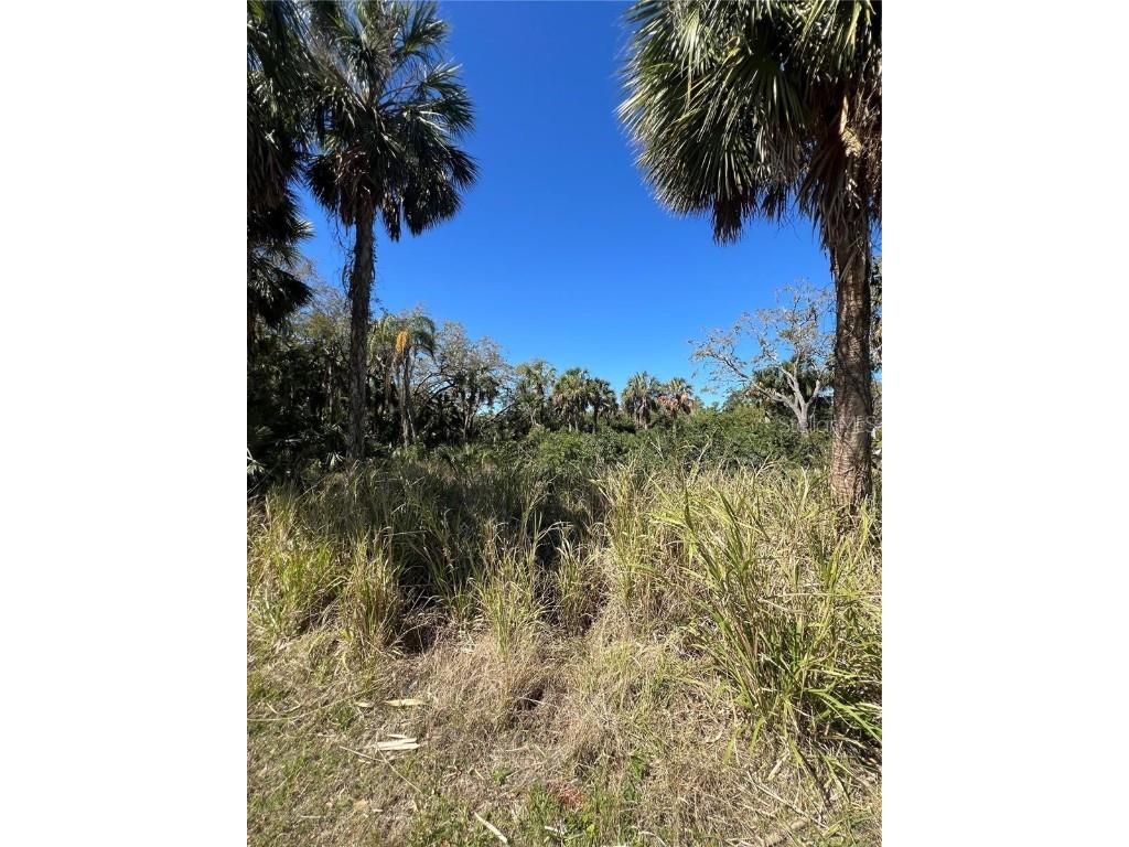 Betty Street Port Richey FL 34668 TB8447777 image9