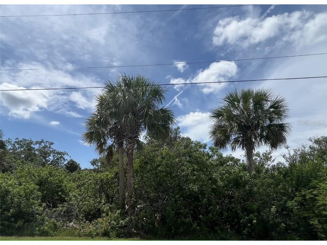 Betty Street Port Richey FL 34668 W7878174 image1